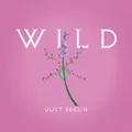 封面：Just Begun